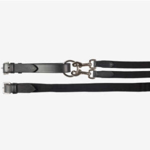 Webbed Training Reins
