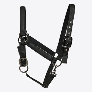 Halter with Lead Rope