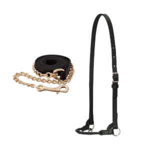 Arabian Leather Show Halter + Chain Lead