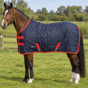 Stable Rug