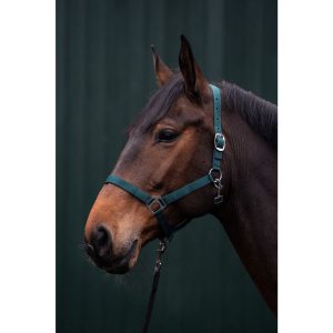 Brisbane Halter
