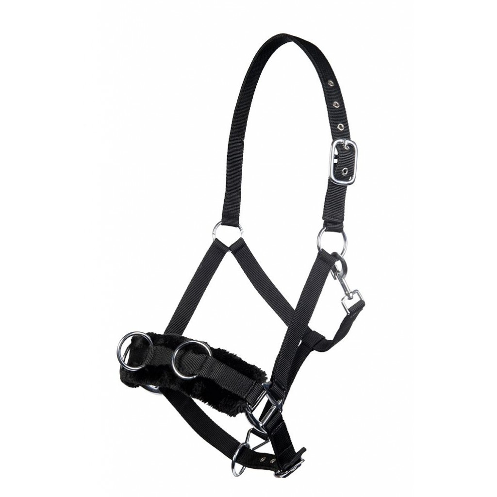 Lunge Cavesson W/ Plush Padding - Image 2
