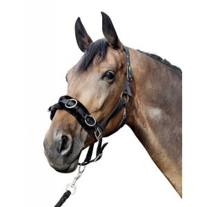 Lunge Cavesson W/ Plush Padding