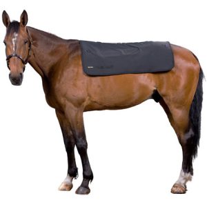 Back on Track Therapy Back Warmer
