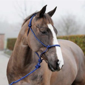 Knotted Rope Halter Lead Set