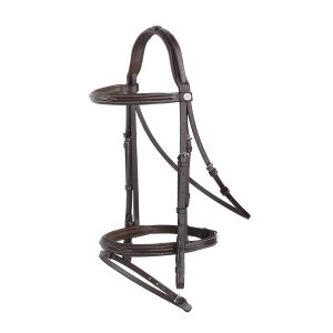 Fancy Horse Bridle