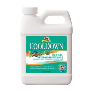 CoolDown® After Workout Rinse Concentrate 950ml
