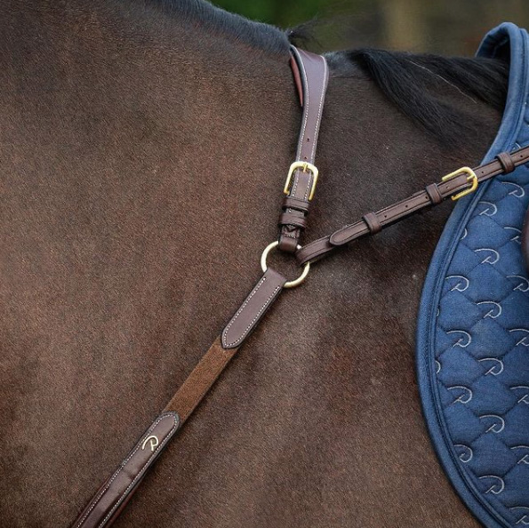 Breastplate - Image 2