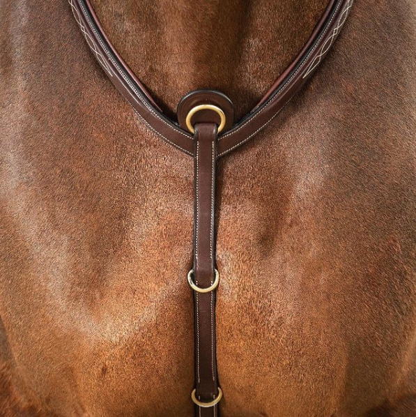 Breastplate - Image 3