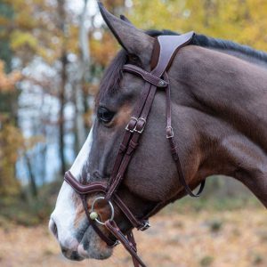 Precision Y Noseband Anatomic Bridle