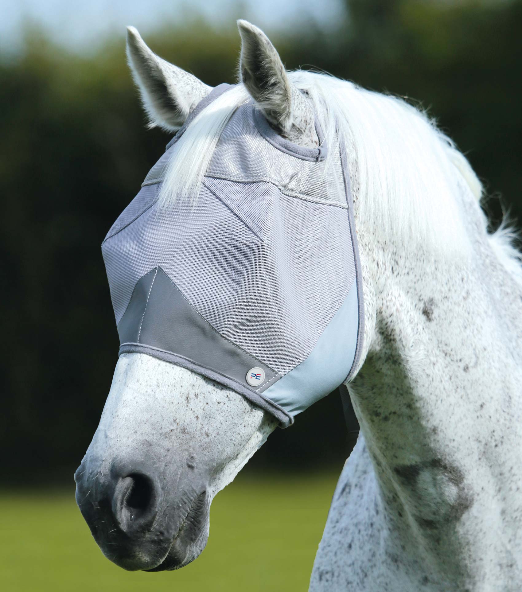 Buster Fly Mask Standard + Silver