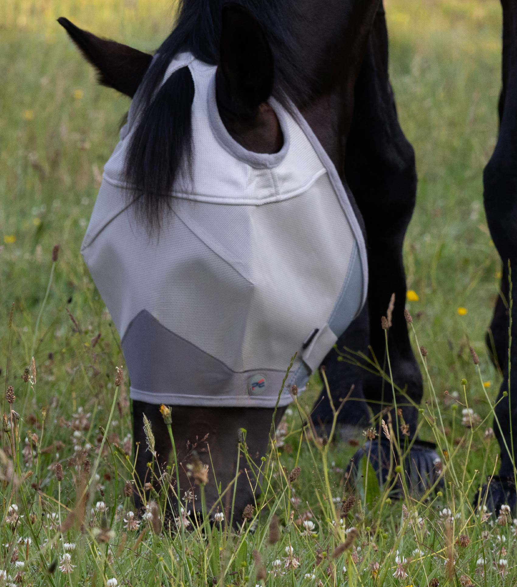 Buster Fly Mask Standard + Silver - Image 6