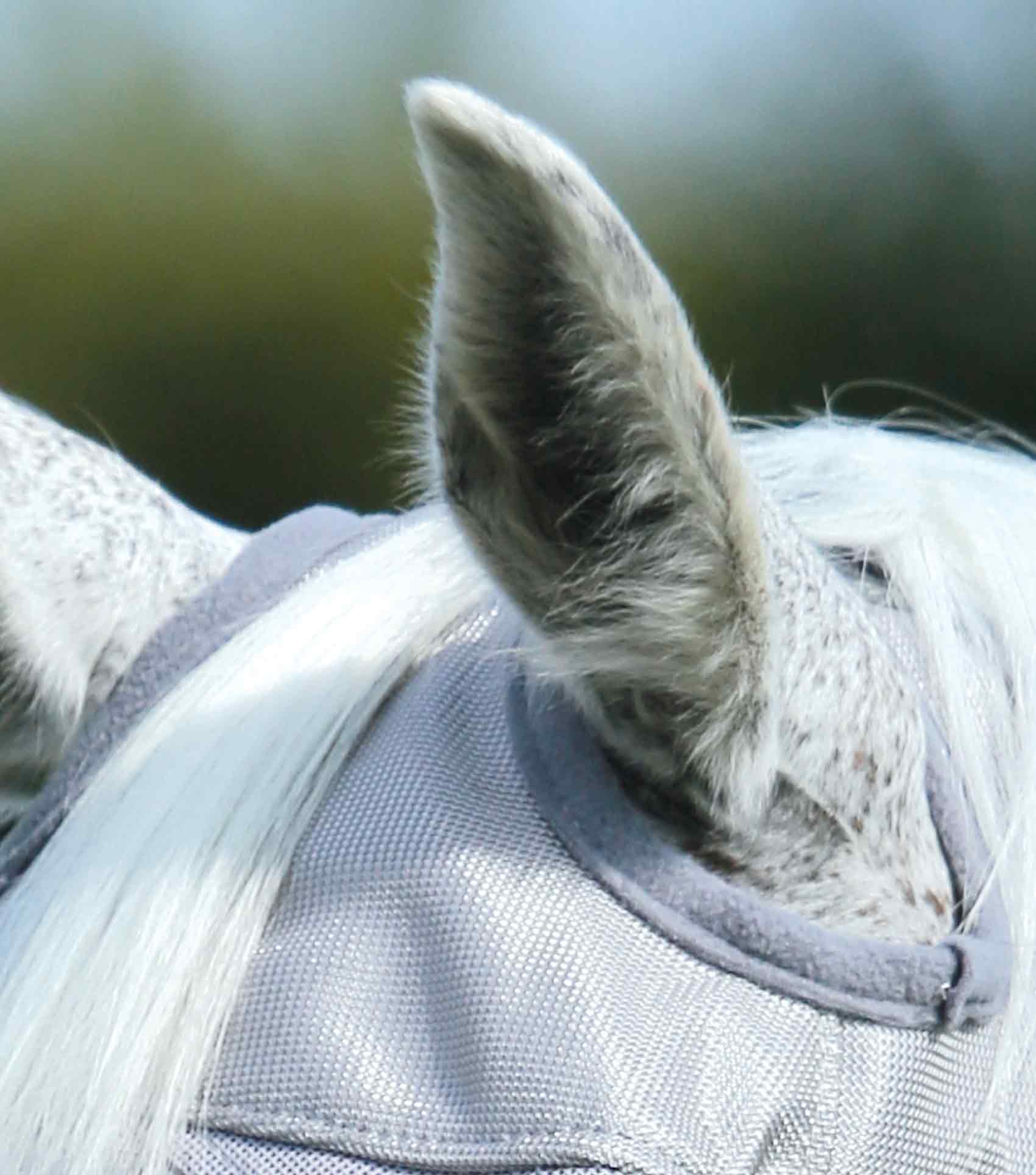 Buster Fly Mask Standard + Silver - Image 2