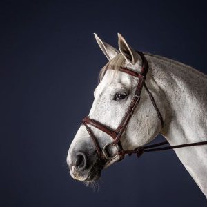 Flash Noseband Bridle
