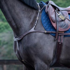 Anatomic Breastplate