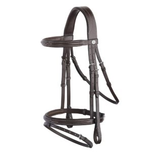 Leather Bridle with Stitching