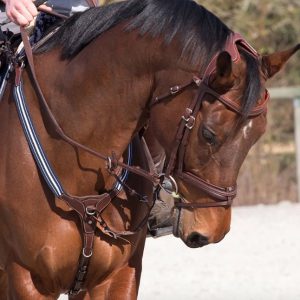 Grained Elastic Breastplate
