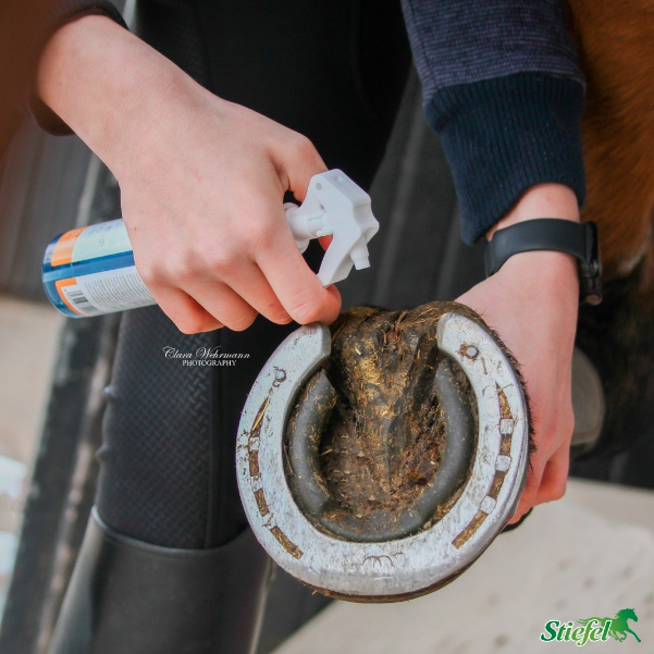 Hoof Hardener 200ML - Strong and stable hooves - Image 2