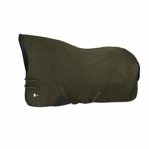 Dynamic BETA 150 Stable Rug