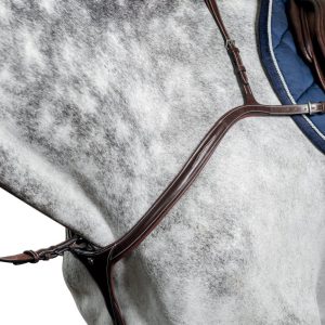 Anatomic Breastplate