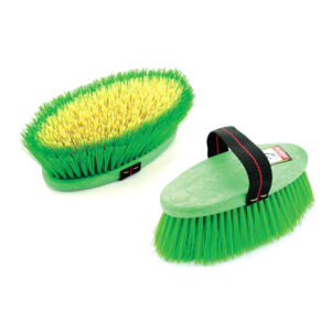 Dandy Brush Long Bristle - Multi Color