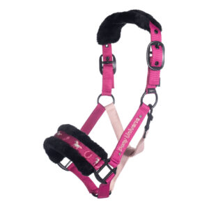 Polly - Halter pony and Rope