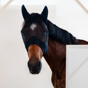 Horse Fly Mask