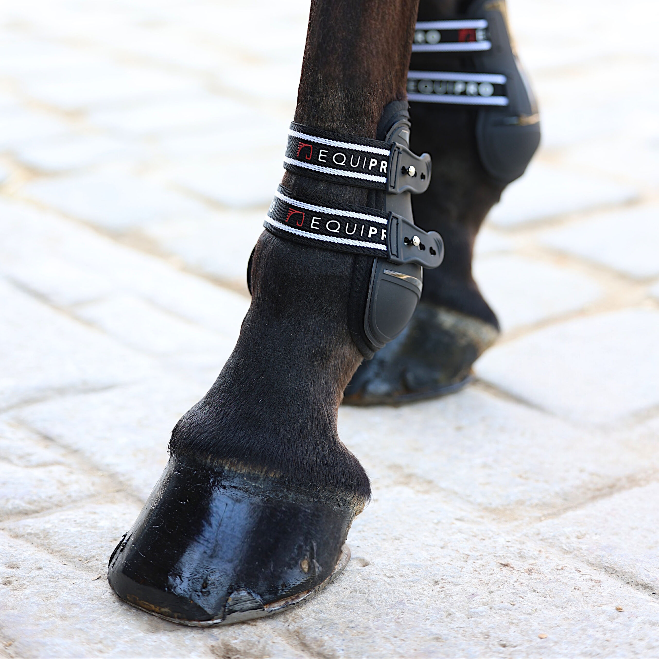 Pro-Tech Tendon & Fetlock Boot Set - Image 19