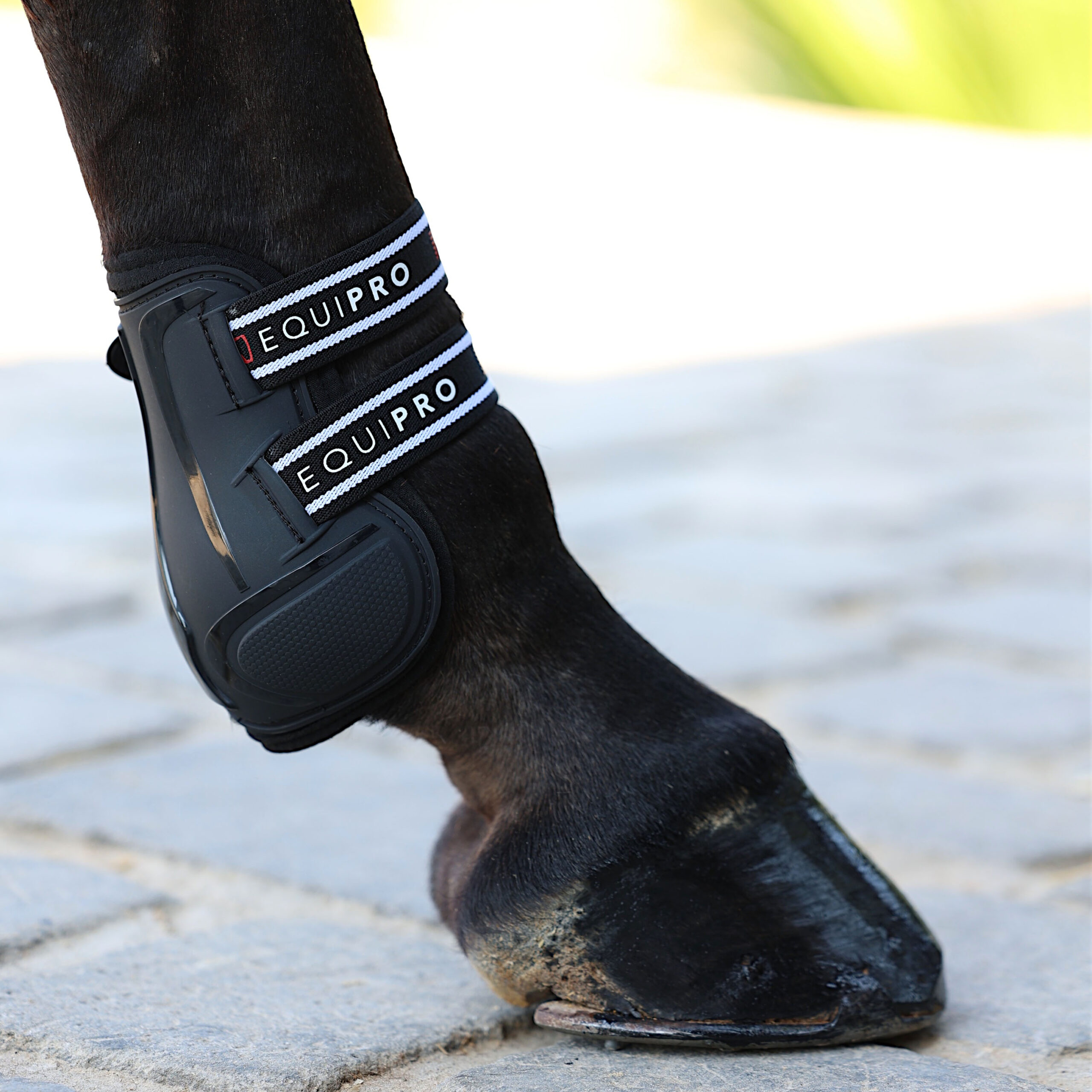 Pro-Tech Tendon & Fetlock Boot Set - Image 17