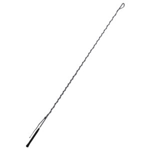 Lunge Whip 160cm